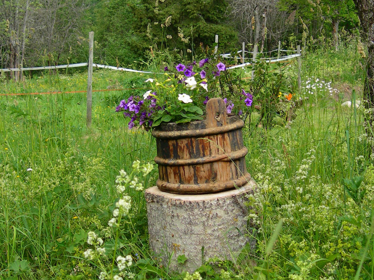 Wiborggarden Bed And Breakfast Boda  Buitenkant foto