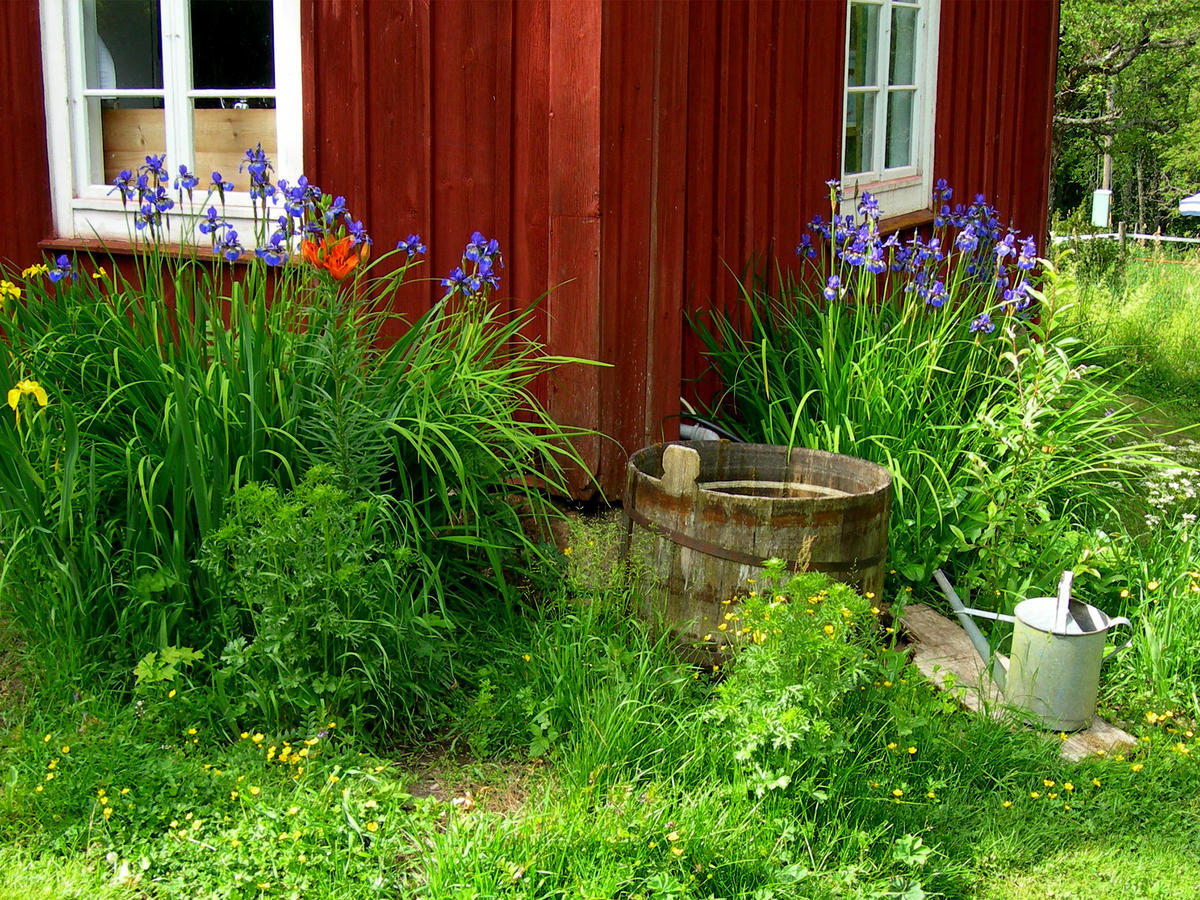 Wiborggarden Bed And Breakfast Boda  Buitenkant foto