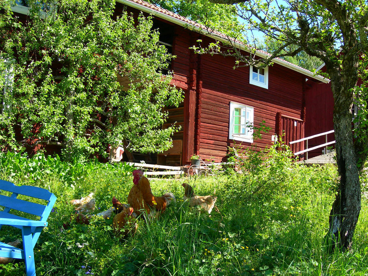 Wiborggarden Bed And Breakfast Boda  Buitenkant foto